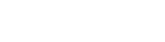 logoipsum-216.png